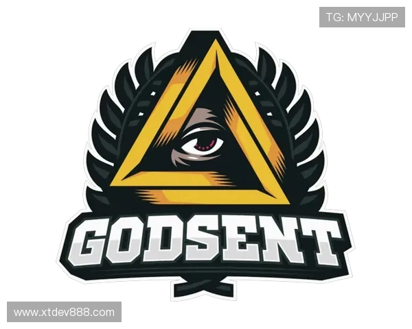 FPX战队在CSGO中的运营策略与战术解析 FPX战队在CSGO中的运营策略与战术解析