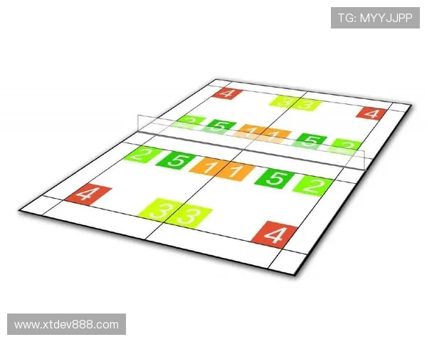 北京羽毛球队战术分析与发展策略探讨之路