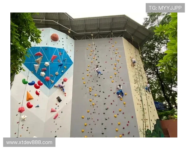 广州攀岩队强势崛起最新攀岩力量TOP10榜单揭晓