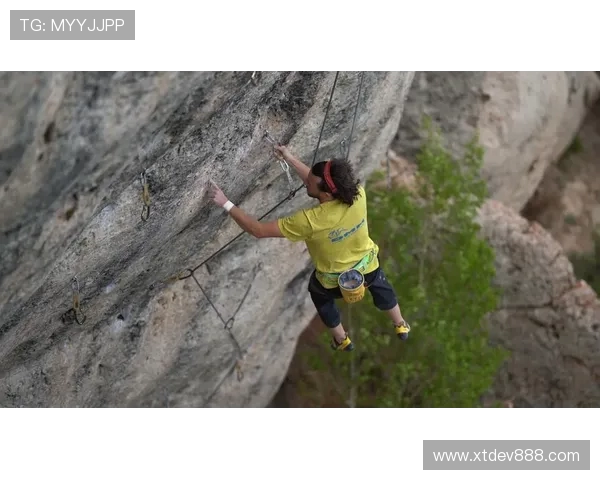 杭州攀岩队与重庆攀岩队赛后战术分析与总结探讨