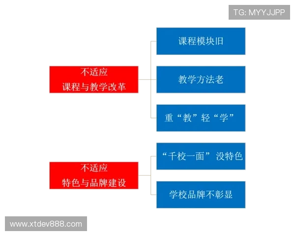 杭州网球队战术解析与提升策略的深度探讨与思考 杭州网球队战术解析与提升策略的深度探讨与思考