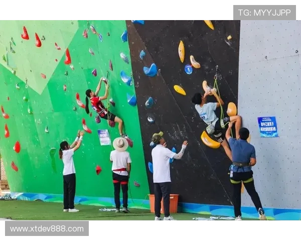 武汉攀岩队在世界攀岩锦标赛中的心理素质表现分析与点评