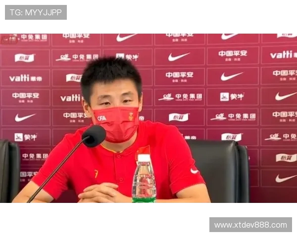 世预赛激战德国对决英格兰球迷期待巅峰对决的精彩瞬间