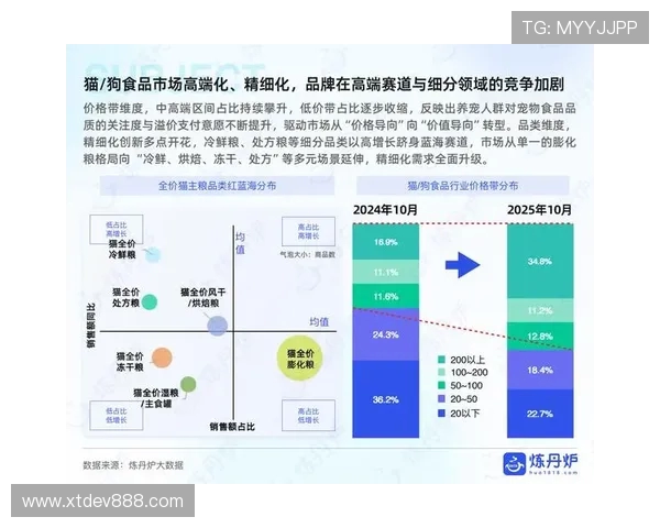 天猫与水星胜负差分析揭示电商竞争新格局与未来发展趋势