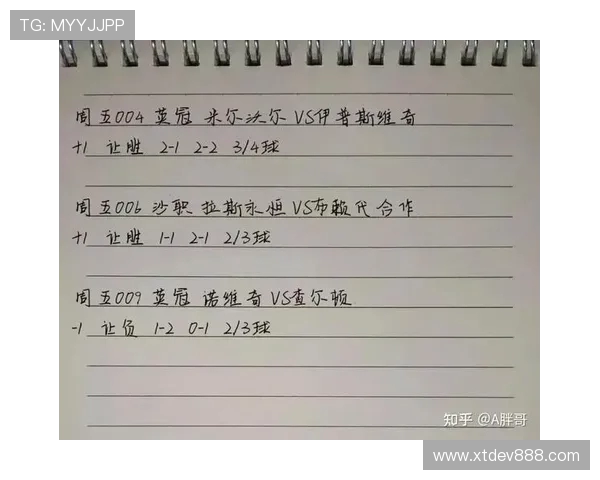 斯旺西主场迎战诺维奇争夺英冠积分榜重要位置