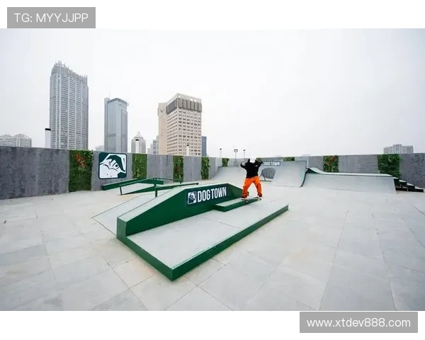 南京滑板队实力分析与表现评估：数据揭示团队潜力与发展方向