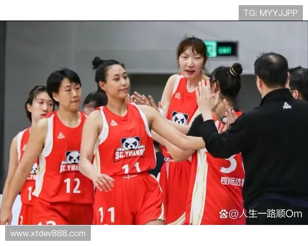 成都篮球队配合变革引发热议球迷期待新战术带来的精彩表现