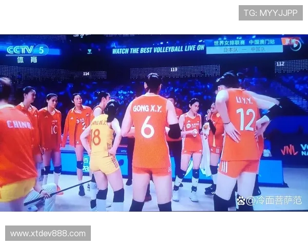 上海排球队的节奏革新探索与发展之路全面解析