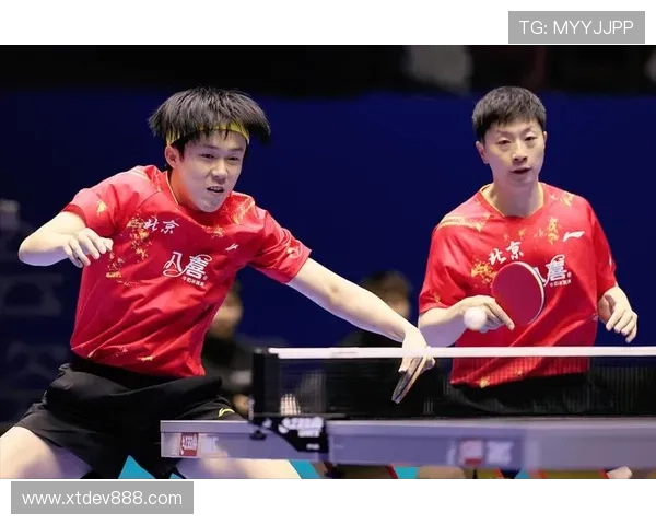 乒乓球专题：深入探讨上海乒乓球队的团队协作与默契配合之道