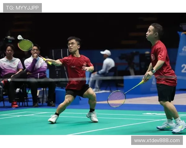 南京羽毛球队的转型之路与深度解析羽毛球运动的未来发展