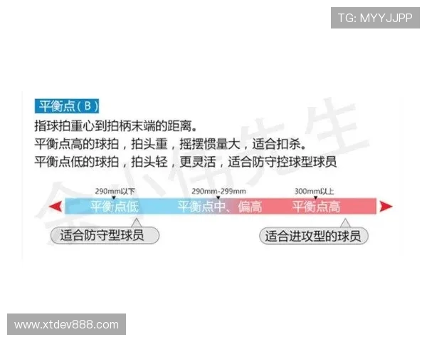 广州羽毛球队灵活性分析与训练策略探讨