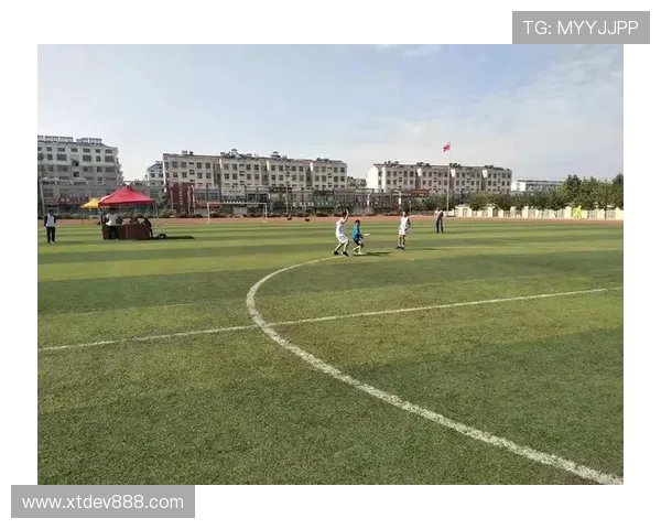 广州飞盘队团队协作能力提升创造历史新高排名引发广泛关注