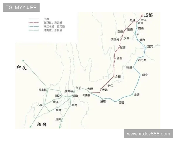 成都排球队战术分析与发展策略探讨之路