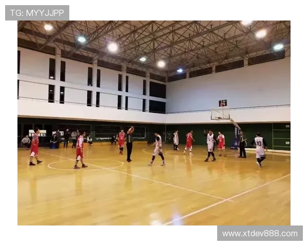 成都篮球队总决赛技术分析与表现评估全面解读